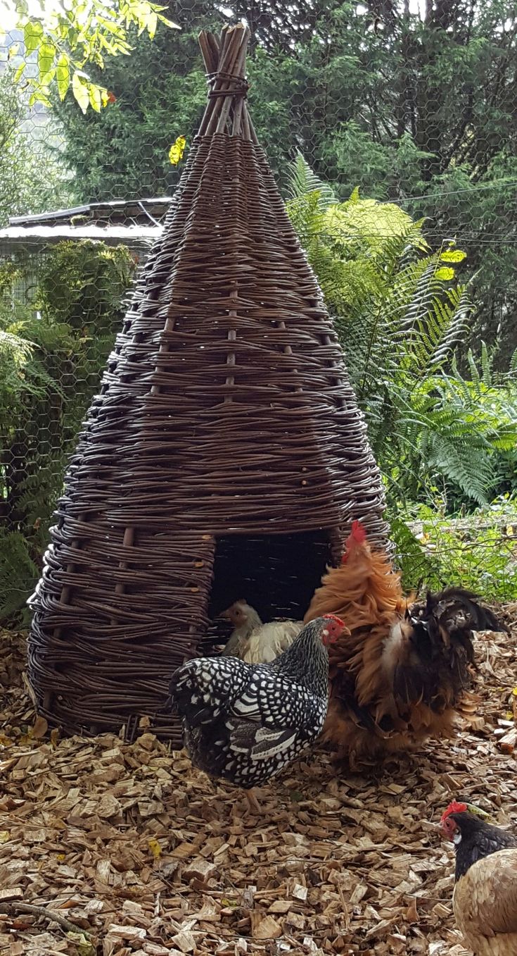Refugios para gallinas