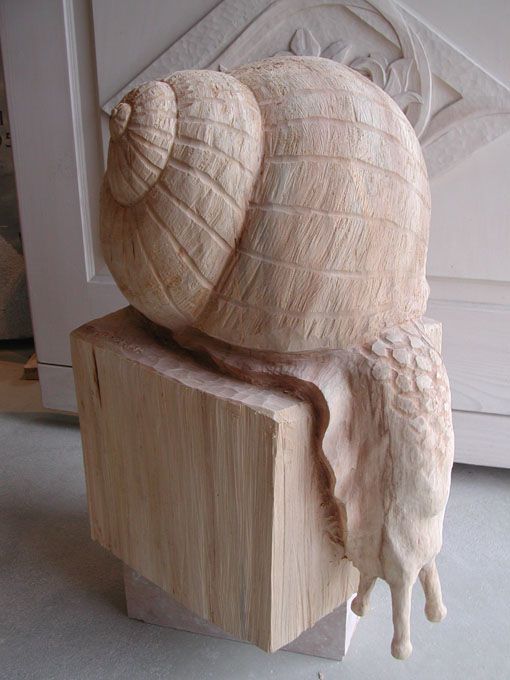 Caracola